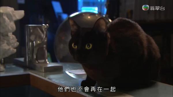 【金宵大廈】流星胸針是連接前世今生的關鍵 劉江威脅靚寶 暗示黑貓真正身份