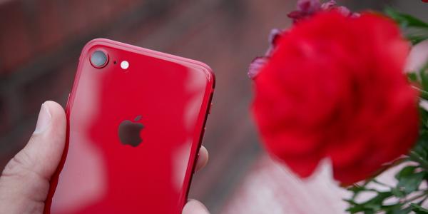【Apple】蘋果iPhone SE 2傳明年登場！3大顏色/售價/規格曝光