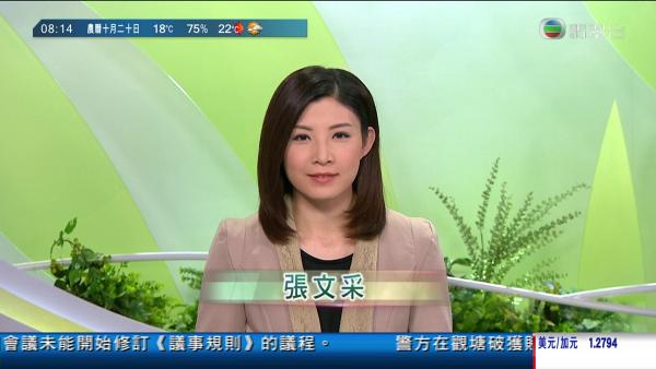 又一新聞小花離巢 張文采為TVB效力10年 傳9月已遞交辭職信