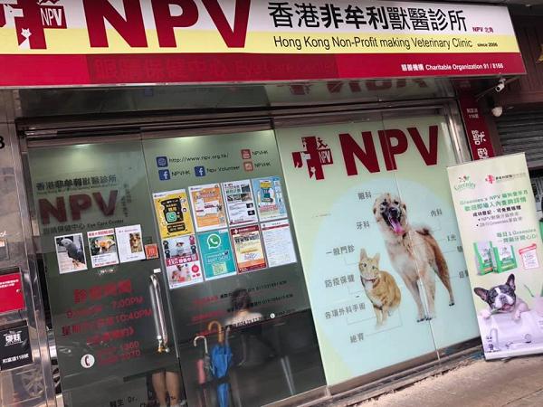香港非牟利獸醫診所擔心催淚煙影響寵物健康　安排醫療車免費幫貓狗檢查