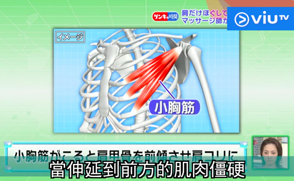 日本按摩師都推薦的肩頸放鬆法！ 用網球碌胳肋底可紓緩肩頸痛