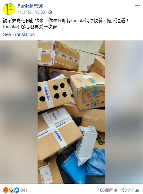 網購活兔後寄到內地集運倉　香港集運公司暫代為收養籲勿寄動物