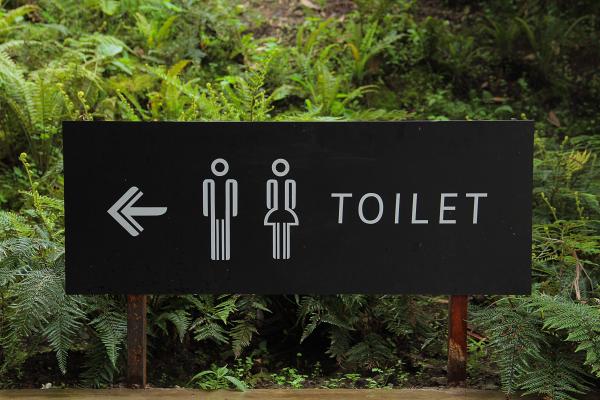 女廁設計過時難隨意增加廁格解決人流　廁所協會促引入女性專用尿兜