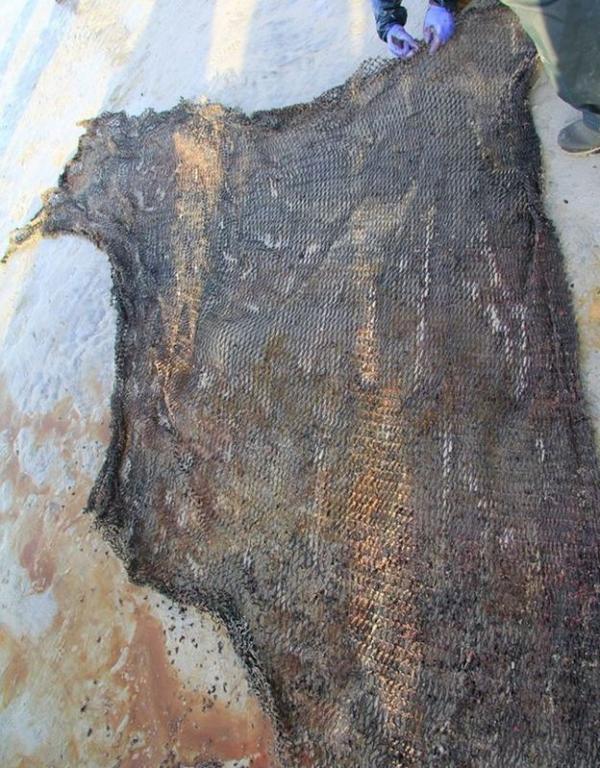 26噸重抹香鯨伏屍蘇格蘭海灘　解剖胃部內除100公斤海洋垃圾外竟無一物