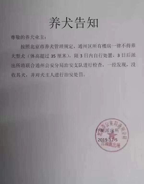 北京推禁狗令禁養35cm大型犬　要求主人3日內處理疑爆發狗隻安樂死潮