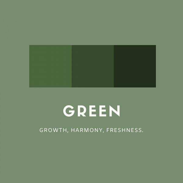綠色：成長、和諧、新鮮