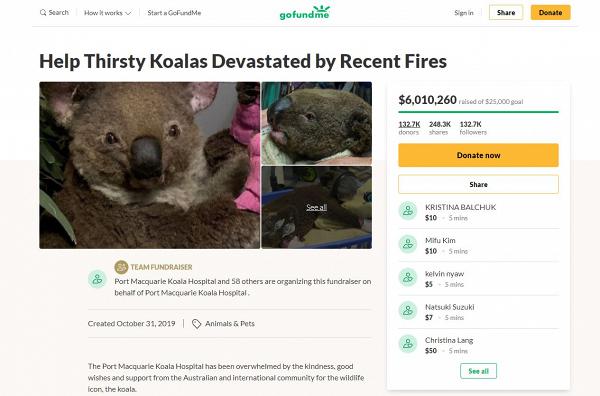 澳洲大火引起全球關注欲伸出援手救助　一文睇晒7個捐款/眾籌/助養樹熊方法