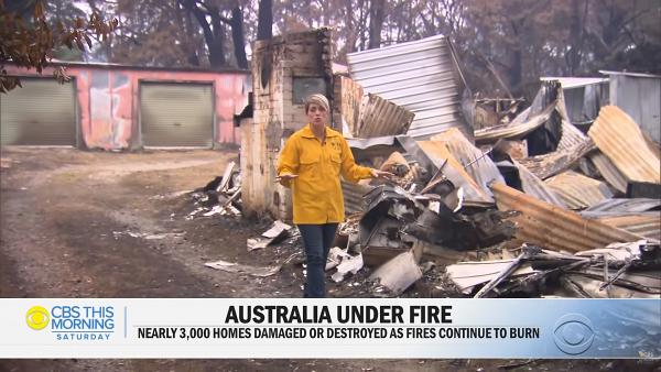 澳洲大火60歲消防員被樹砸中殉職　服務超過40年對救援人員造成沉重打擊