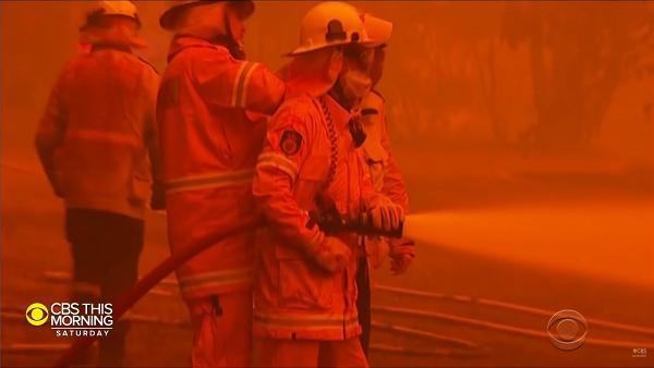 澳洲大火60歲消防員被樹砸中殉職　服務超過40年對救援人員造成沉重打擊