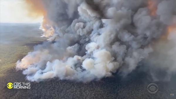 澳洲大火終於有好消息　本周將有50毫米降雨量　部分火場有望控制火勢