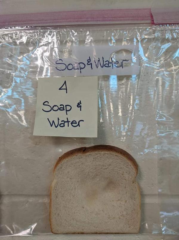 然而，使用梘液洗手後接觸的麵包並沒有發霉。