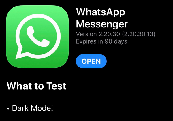 【iPhone】傳iPhone終推WhatsApp暗黑模式 iOS測試版下載介面曝光