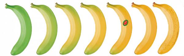 【青bb都食得？】香蕉不同階段都有營養價值！ 地捫FB教你睇顏色分7級成熟程度