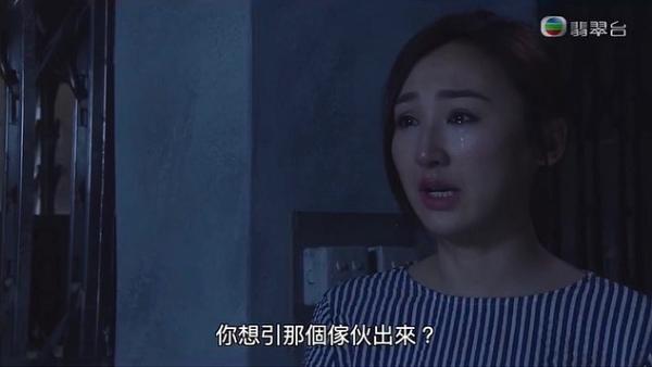5位有望上位做TVB當家花旦的女藝人 張曦雯蔡思貝受力捧劇接劇參與多部重頭戲