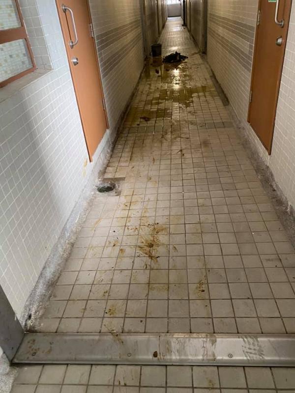 奇怪住戶坐爆馬桶將糞便塗滿走廊臭爆全層 拒自行清潔難為清潔姐姐