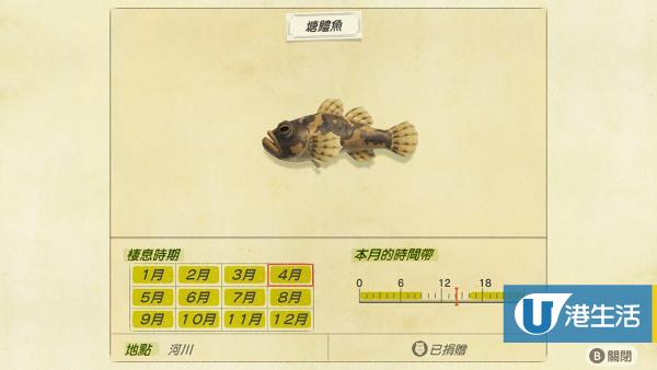 塘鱧魚 售價：400鈴錢、出現時間 16:00 - 09:00（全年）