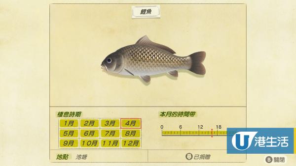 鯉魚 售價：300鈴錢、出現時間 全日（全年）
