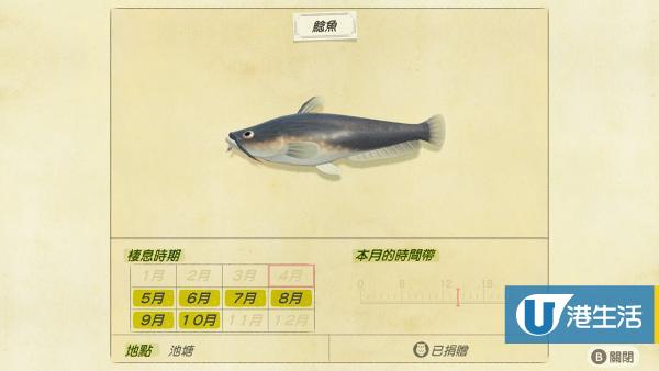 鯰魚 售價：800鈴錢、出現時間 16:00 - 09:00（北半球 5-10月、南半球 11-4月）