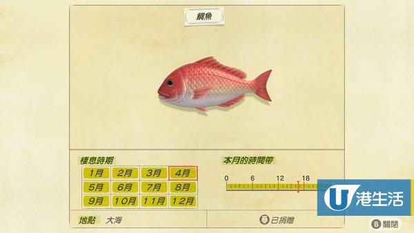 鯛魚 售價：3000鈴錢、出現時間 全日（全年）