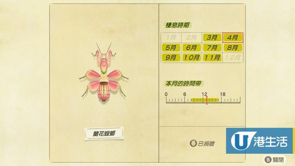 蘭花螳螂 售價：2400鈴錢、出現時間 08:00 - 17:00（北半球 3-11月；南半球 9-5月）