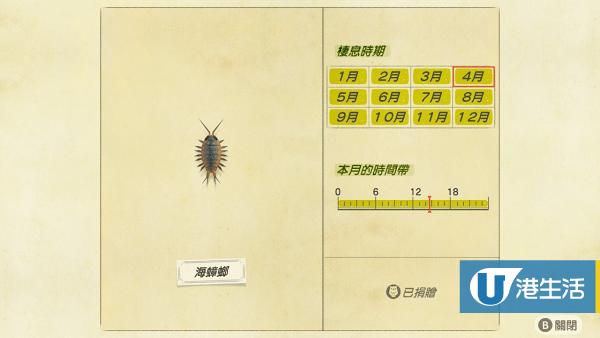 海蟑螂 售價：200鈴錢、出現時間 全日（全年）