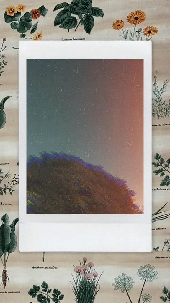 【Instagram技巧】10款復古風格IG限時動態濾鏡 懷舊菲林相、灰塵、漏光效果