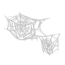 蜘蛛網
