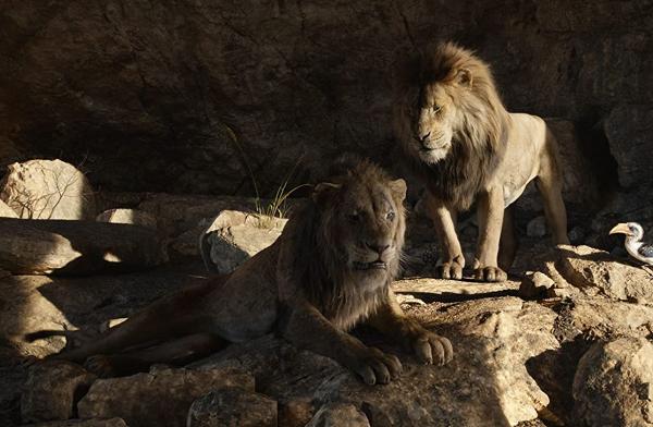 迪士尼宣布開拍真獅版《獅子王》(The Lion King)前傳 圍繞辛巴父親木法沙起源網民反應兩極