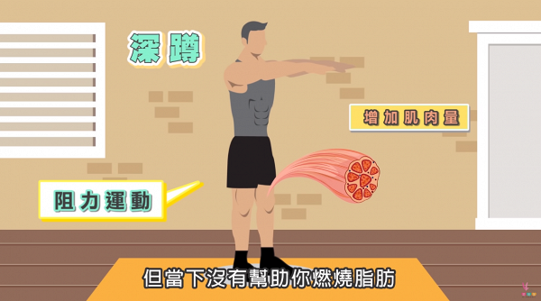 台灣節目每日練深蹲小心大腿越練越壯！ 台醫師教你分析2種肌肉結構正確瘦大腿