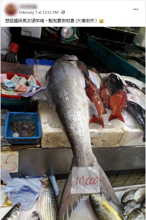 大埔街市魚檔21斤馬友索價一萬 街坊唔明點解咁貴 海鮮專家解釋原因：呢個價好合理