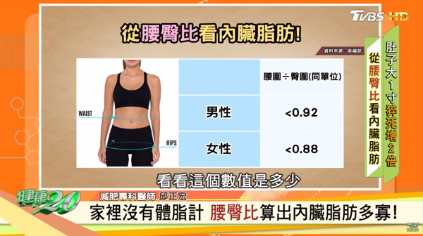 【減肥】台灣節目BMI屬正常不等於內臟脂肪少！ 醫師教你1招檢查自己內臟脂肪比例