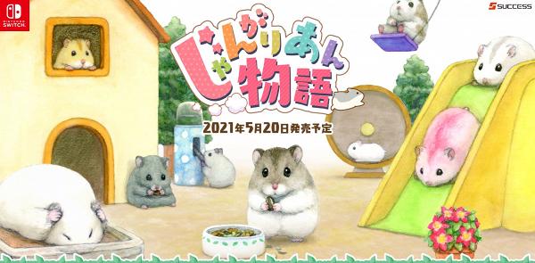 【Switch遊戲】《加卡利亞倉鼠物語》5月20日推出 得意倉鼠育成Game支援繁體中文