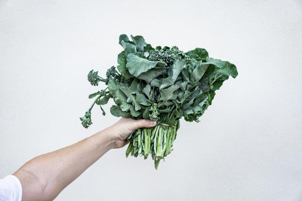 美國營養師盤點13種最健康綠葉蔬菜 羽衣甘藍/火箭菜/白菜預防心臟病及癌症