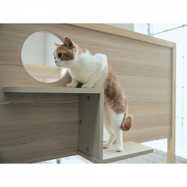 創意家具！日本公司推出人貓共用床整張床都係主子遊樂場！