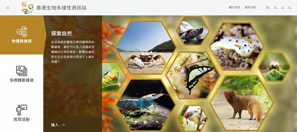 香港生物多樣性資訊站（HKBIH） 記錄本地珍貴生態 在家也可親親大自然