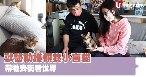獸醫助護領養小盲貓 帶牠去街看世界