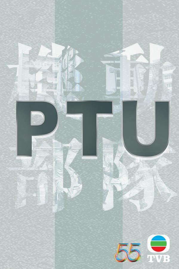 《機動部隊PTU》：警察題材