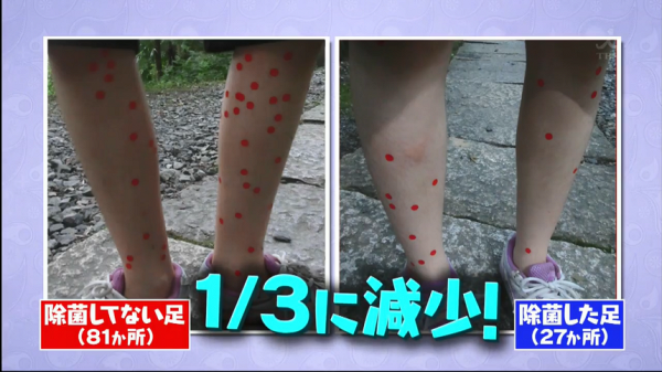 唔只防疫要消毒、防蚊都要! 日本「蚊專家」分享一招減少被蚊咬 邊4種人最惹蚊？