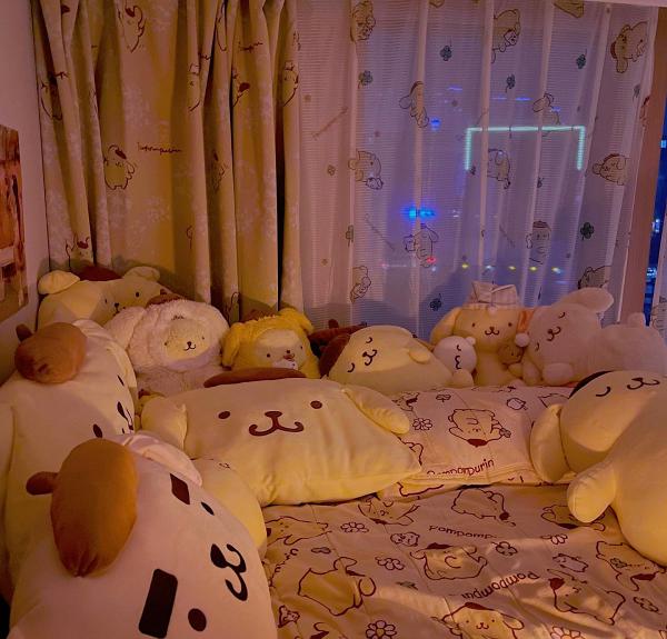 韓國超級布甸狗控 睡房堆滿幾百隻公仔！布甸狗冷知識 忠粉識答幾多題？