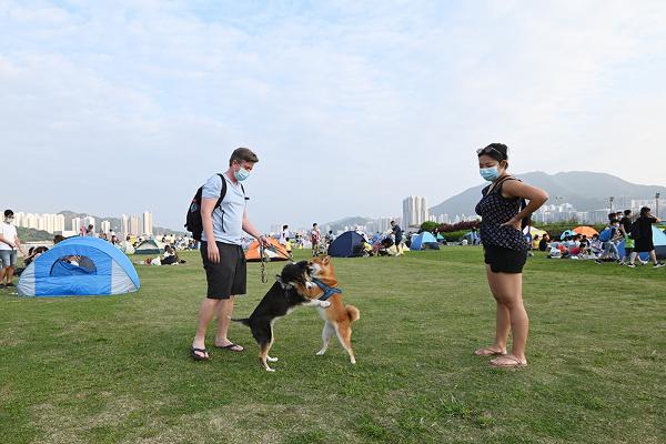 激鬥遙控車 寵物瑜伽 露營觀星 六大公園活動慶回歸