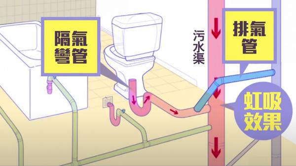 專家解答家居座廁排氣管疑慮　預防細菌病毒散播