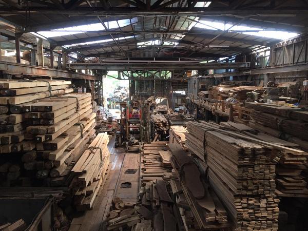 香港最後鎅木廠清拆在即  千噸靚木特價清貨 木工班整家具