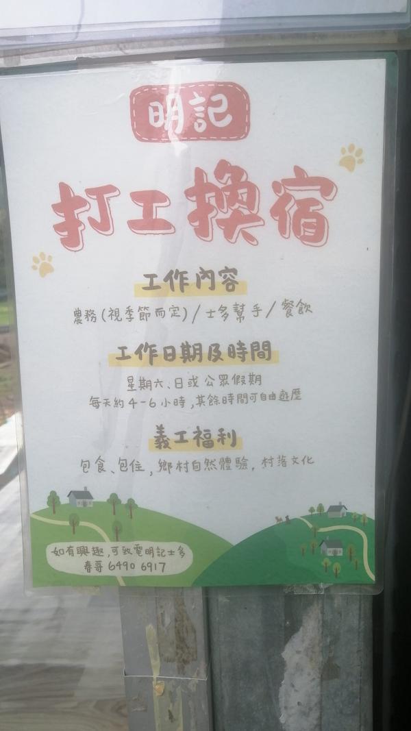 香港荔枝窩茶座推出「打工換宿」計畫！週末包食包住、打理農務體驗鄉村自然生活