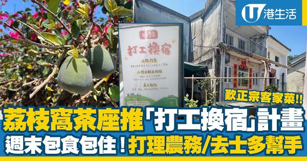 香港荔枝窩茶座推出「打工換宿」計畫！週末包食包住、打理農務體驗鄉村自然生活
