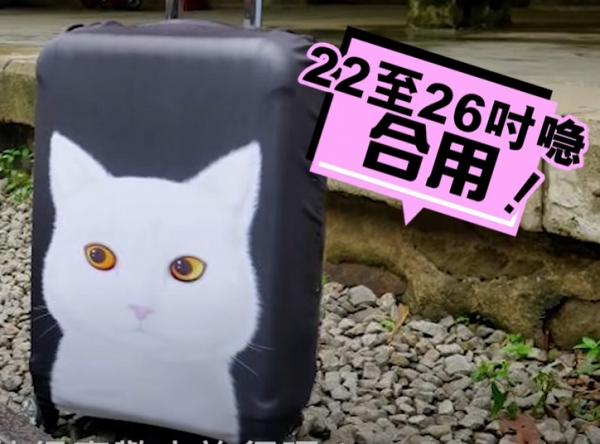 貓奴注意！探訪香港 2 大貓主題家居精品店    日本實用貓樣產品 + 本地訂造主子款用品