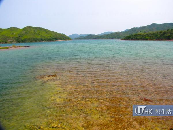印洲塘海岸公園水質清澈見底，波平如鏡，蘊含極豐富的生態價值