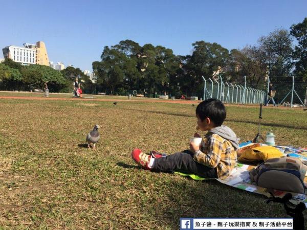 公園擁大片草地 (圖片來源：FB@魚子醬x鐵人家族親子平台)