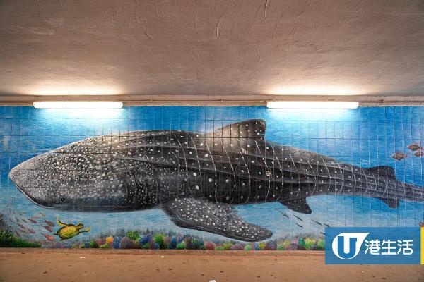 【香港周圍遊】4大特色壁畫影相位！巨型鯨鯊/星空海豚/花海樓梯