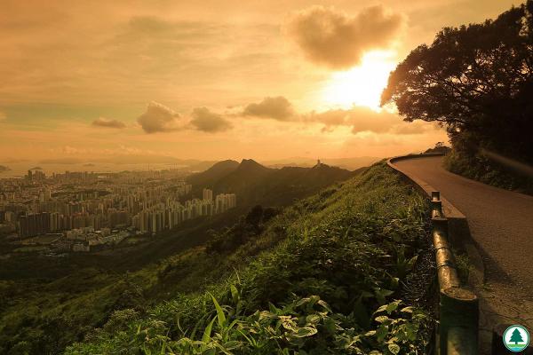 【郊遊好去處】全港4大最啱睇日落行山路線推介！ 西高山/飛鵝山/鳳凰山/大帽山