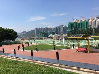 【寵物公園推介】香港10大寵物公園推薦 山頂/將軍澳/元朗/沙田/深水埗/觀塘